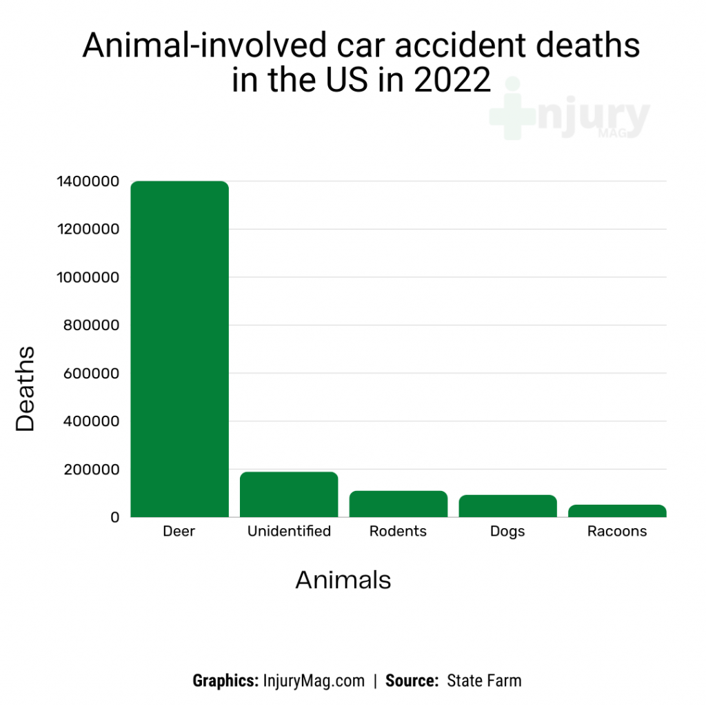 dog car accident statistics